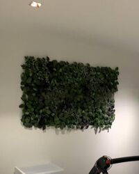 mount-elizabeth-hospital photo thumbnail #2